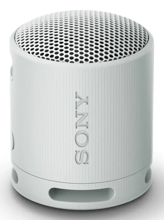 SRS-XB100 Altavoz monofónico portátil Gris