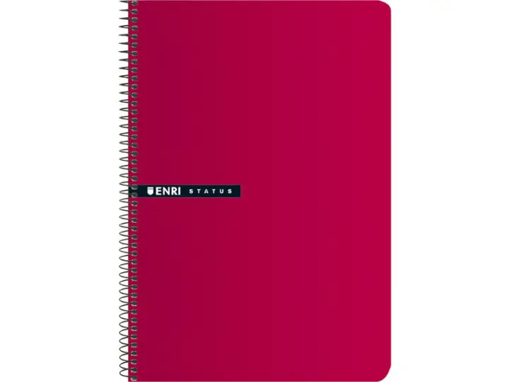 ENR CUADERNO Fº 4X4 100H RO 10 100435749