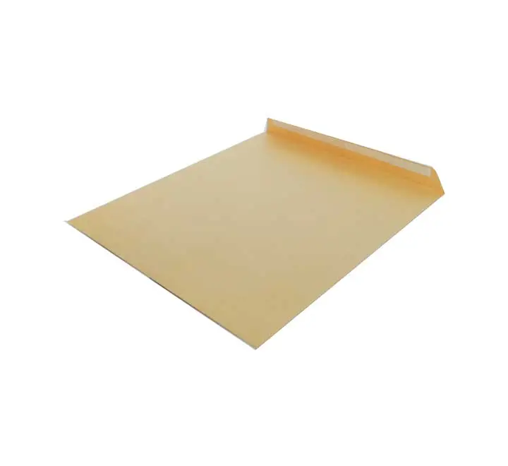 C. 250 BOLSAS SAM 90G 229X324 KRAFT I.POSTAL