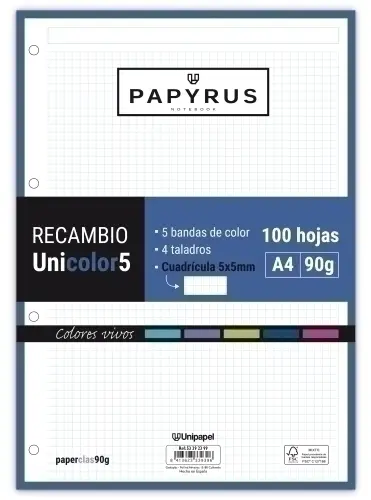 RECAMBIO PAPYRUS A4 100h MULTIT.CD.5 VIV - Pack de 24 unidades