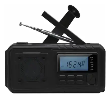 BTEC-RDS670-B altavoz portátil o de fiesta Altavoz monofónico portátil Negro