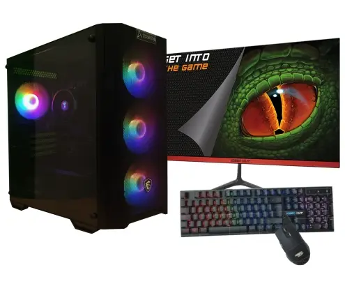 AMD Ryzen 5 4650G/16GB/1 Tb NVMe/Monitor 21.5 teclado y ratón Windows 11 Ordenador GamingPC
