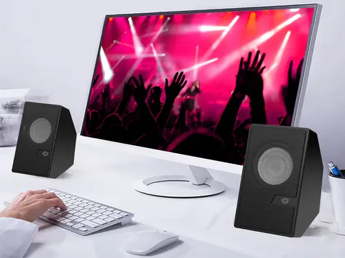 BJORN02B altavoz De 2 vías Negro Inalámbrico y alámbrico 6 W - Imagen 4