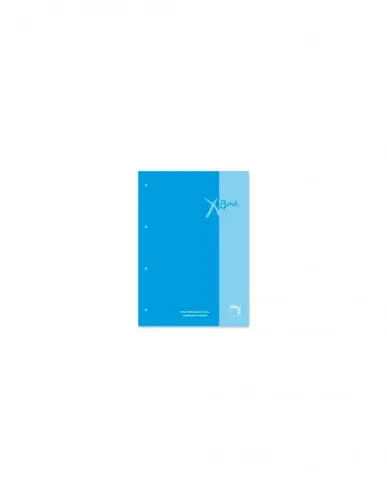 RECAMBIO XBLOCK DIN A4 TAPA CARTÓN 4 TALADROS 80 HOJAS PAPEL 90GRS. CUADRICULA 5X5 + GRECA COLOR TURQUESA PACSA 21156