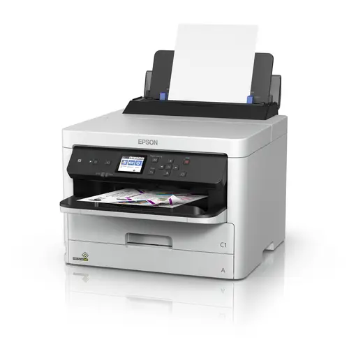 DURABrite Pro - Imagen 3