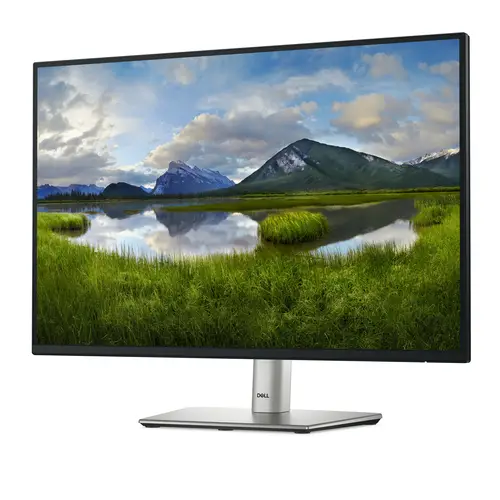 P Series P2425 pantalla para PC 61,1 cm (24.1") 1920 x 1200 Pixeles WUXGA LCD Negro - Imagen 2