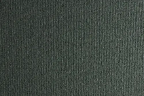 Cartulina Sadipal Texturizada LR 220 50X70CM Ferro 20H