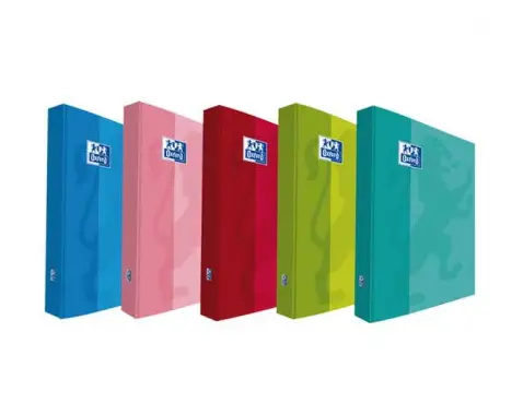 400106671 carpeta de cartón A4 Colores surtidos