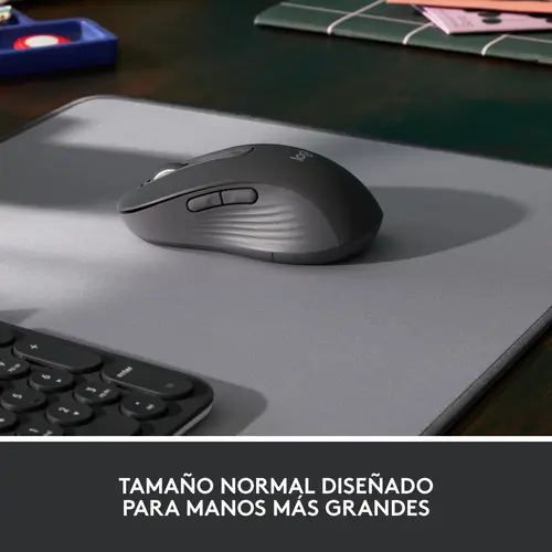 Signature M650 L - Imagen 9