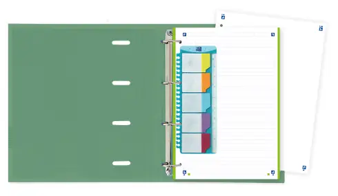 400159887 carpeta de cartón A4+ Colores surtidos