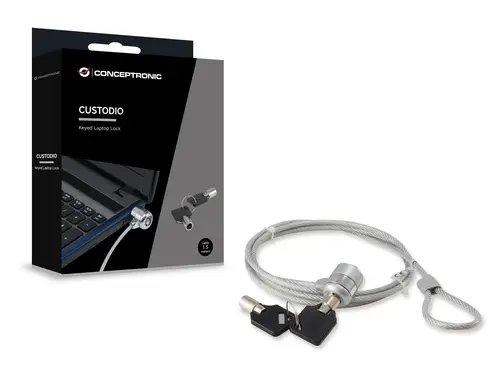 CNBSLOCK15 cable antirrobo Plata 1,5 m - Imagen 2