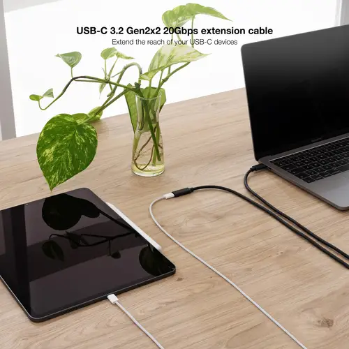 10.01.4500 cable USB USB 3.2 Gen 2x2 0,5 m USB C Negro - Imagen 5