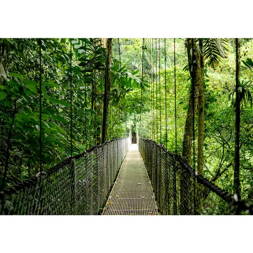 EliteBook 6 G1i 14 inch Notebook AI PC Wolf Pro Security Edition Intel Core Ultra 7 255U Portátil 35,6 cm (14") WUXGA 16 GB DDR5-SDRAM 512 GB SSD Wi-Fi 7 (802.11be) Windows 11 Pro Plata - Imagen 9