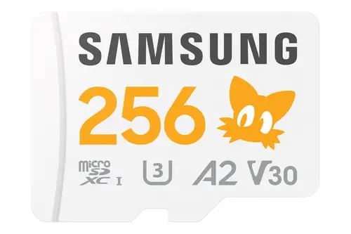 MB-MD256S 256 GB MicroSDXC UHS-I Clase 10 - Imagen 1