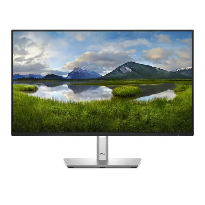 P Series P2425HE pantalla para PC 60,5 cm (23.8") 1920 x 1080 Pixeles Full HD LCD Negro