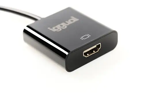 IGG318041 adaptador de cable de vídeo 0,25 m DisplayPort HDMI Negro - Imagen 1