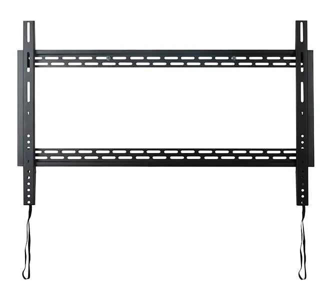BT9901 165,1 cm (65") Negro