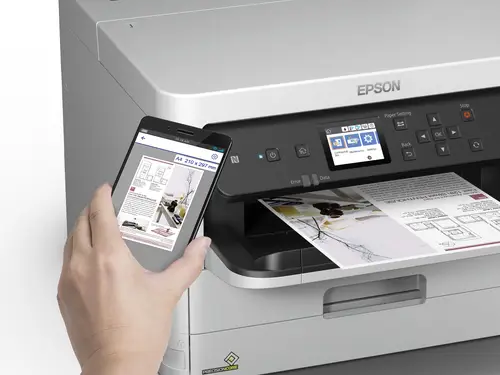 DURABrite Pro - Imagen 8