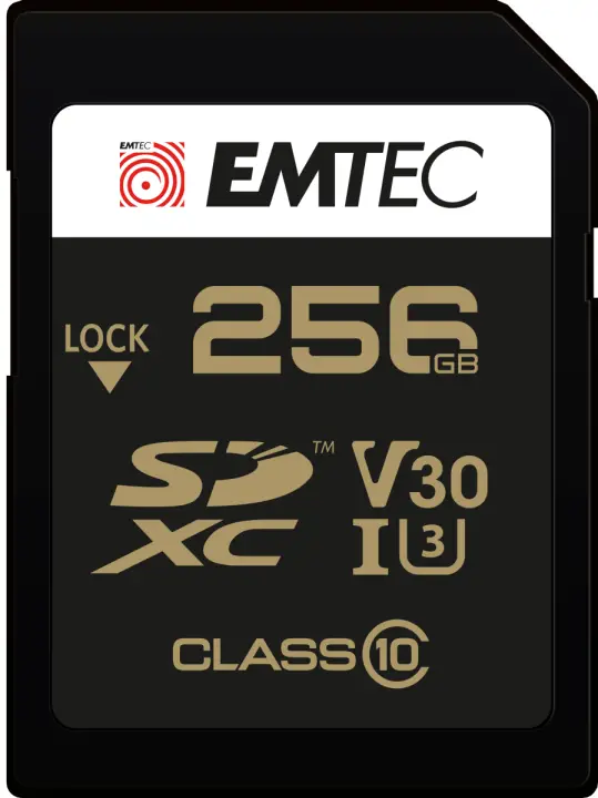 ECMSD256GXC10SP memoria flash 256 GB SDXC UHS-I Clase 10