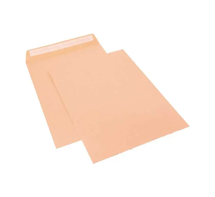 C.250 BOLSAS USO GRAL. SAM 100G 229X324 CELULOSA