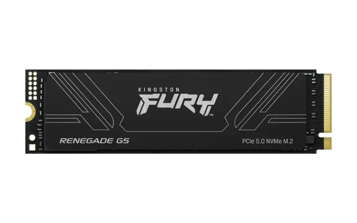 1T FURY RENEGADE G5 M.2 2280 NVMe SSD