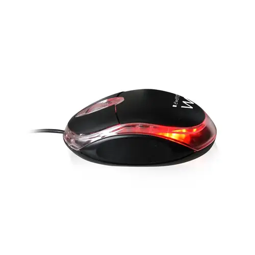 EW3174 ratón USB tipo A Óptico 1000 DPI Ambidextro - Imagen 2