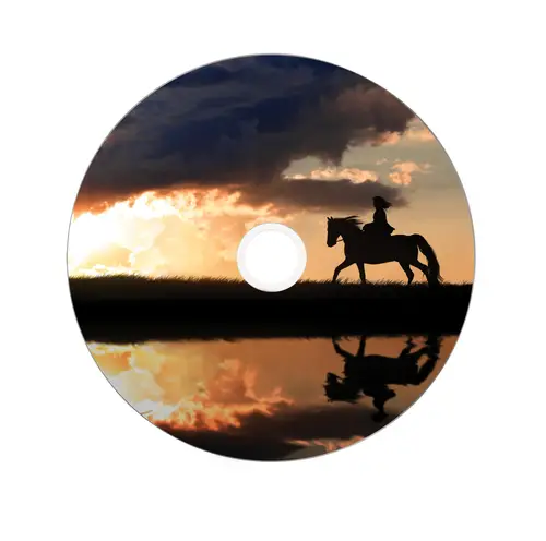 43667 DVD en blanco 8,5 GB DVD+R DL 25 pieza(s) - Imagen 4