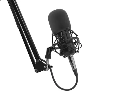 Radium 300 XLR Negro Micrófono de estudio - Imagen 11