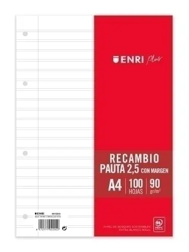 RECAMBIO 100H ENRI A4 PAUTA 2.5 C/MG 90GR