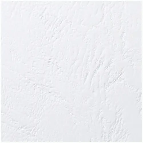 Portada Antelope Símil Piel 250 Gr Blanco (Caja 100) - Imagen 2