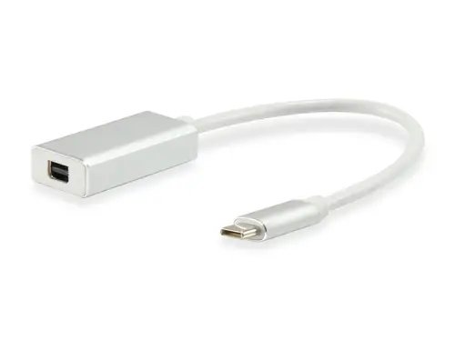 Adaptador de USB-C a Mini DisplayPort - Imagen 1