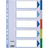 Multicoloured Polypropylene Dividers Separador en blanco con pest..