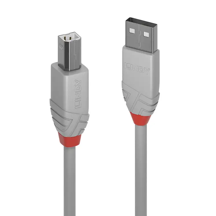 36683 cable USB USB 2.0 2 m USB A USB B Gris