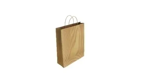 BOLSA PAPEL KRAFT VERJU. 24x32 RECI P/50