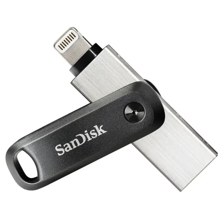 SDIX60N-256G-GN6NE unidad flash USB 256 GB 3.2 Gen 1 (3.1 Gen 1) Gris, Plata
