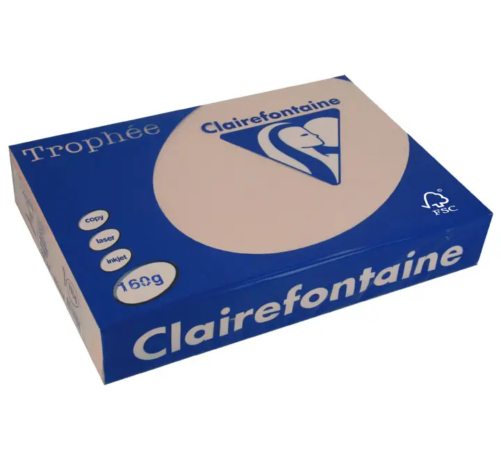 PAQ. 250H PAP. TROPHEE CLF SUAVE A4 160G CARNE