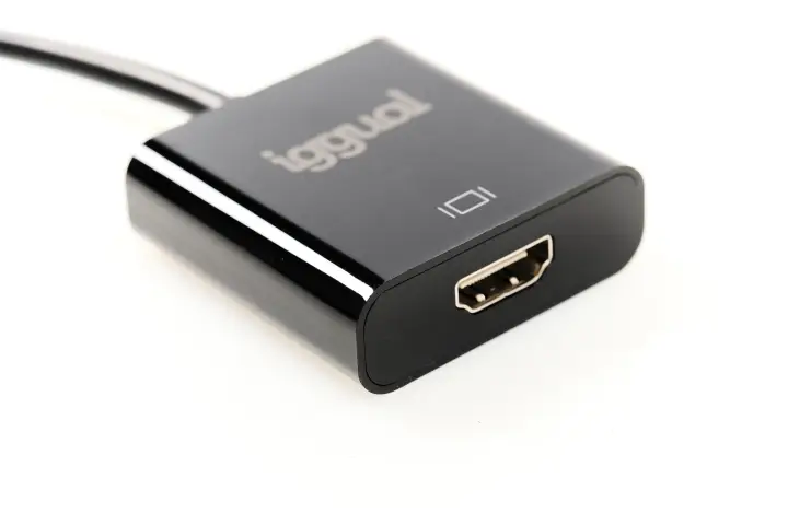IGG318041 adaptador de cable de vídeo 0,25 m DisplayPort HDMI Negro