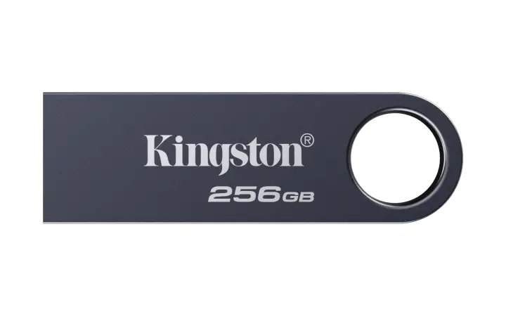 DataTraveler 256 GB SE9 G3 - Níquel oscuro
