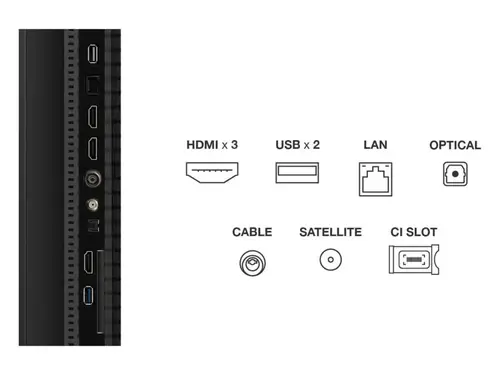 T69C 50T69C Televisor 127 cm (50") 4K Ultra HD Smart TV Wifi Negro 350 cd / m² - Imagen 5