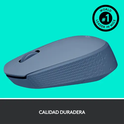 M170 - Imagen 8