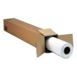 Película MetallicProof® de 24" x 30,5 m (para SP WT7900)