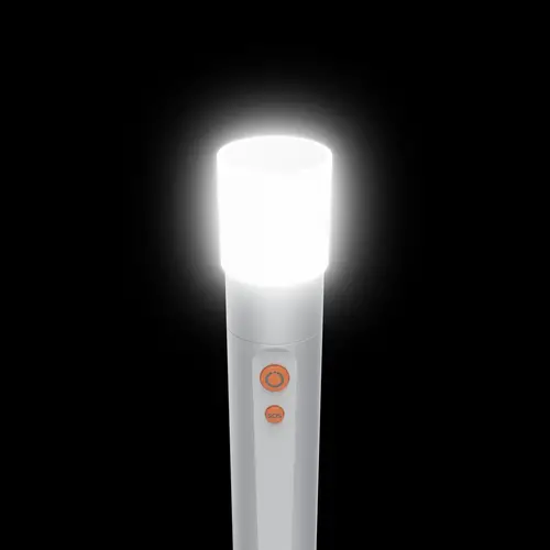 FL250 Plata Linterna de mano LED - Imagen 7