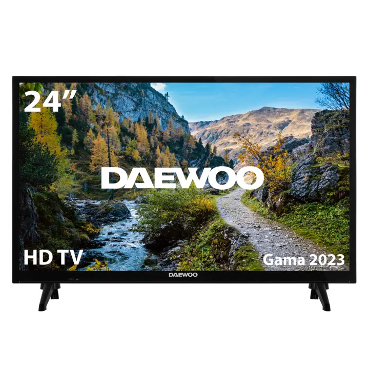 24DE04HL1 Televisor 61 cm (24") HD Negro