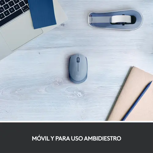 M170 - Imagen 6