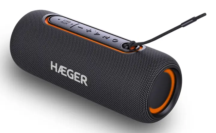 SP-10W.003A altavoz portátil o de fiesta Altavoz portátil estéreo Negro