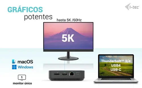 USB-C HDMI Dual DP Docking Station with Power Delivery 100 W - Imagen 8