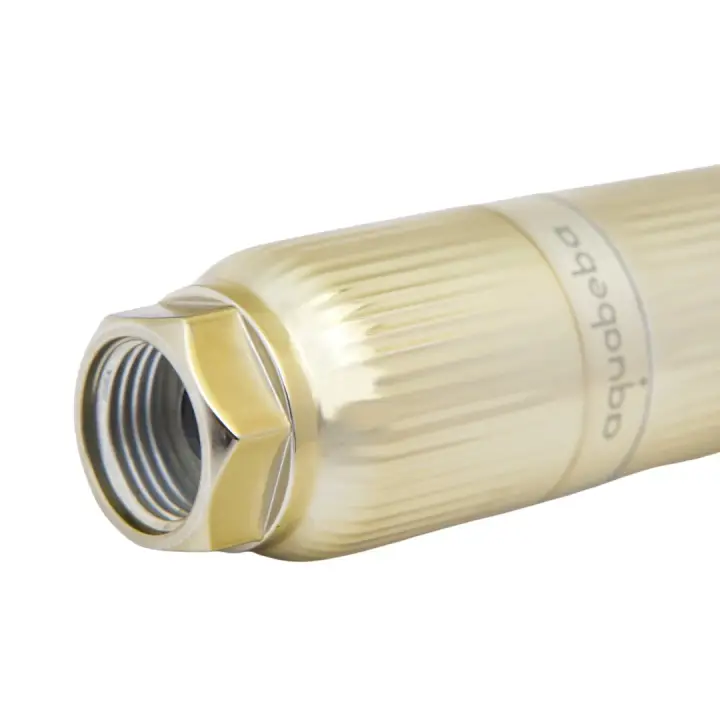 AQUAFILTER Filtro de ducha Dorado