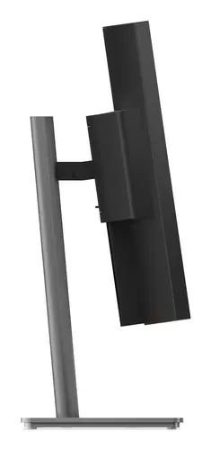 ThinkVision P40WD-40 Monitor - Imagen 6