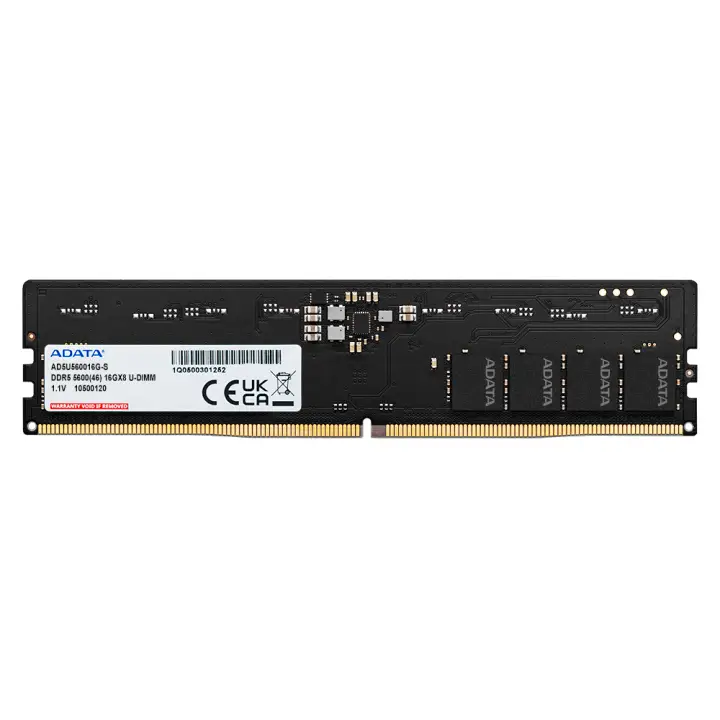 Premier módulo de memoria 16 GB 1 x 16 GB DDR5 5600 MHz