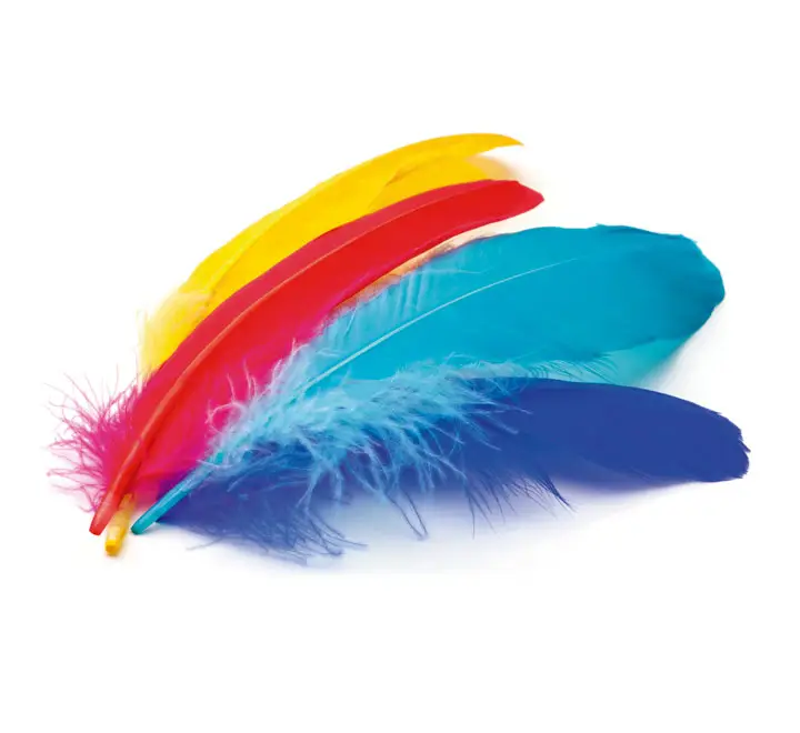 B.50U PLUMAS INDIO NIEFENVER 6 COLOR. STDO 0900208